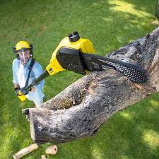 Lawn Pest Prevention in Bear Creek Ranch, TX